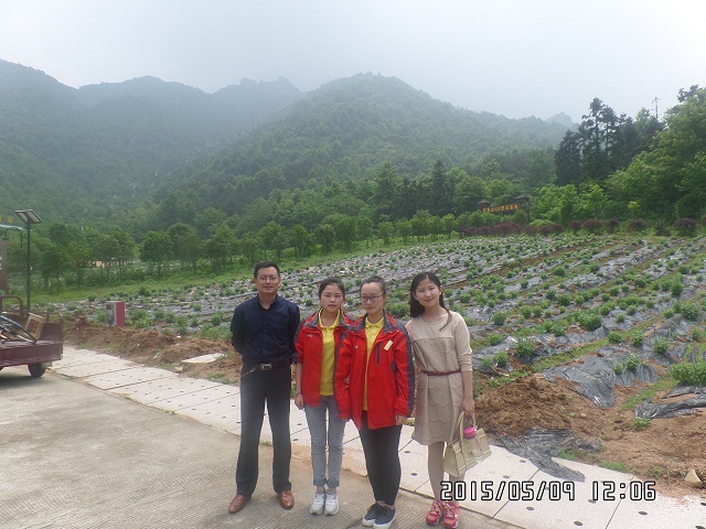 我系看望实习学生