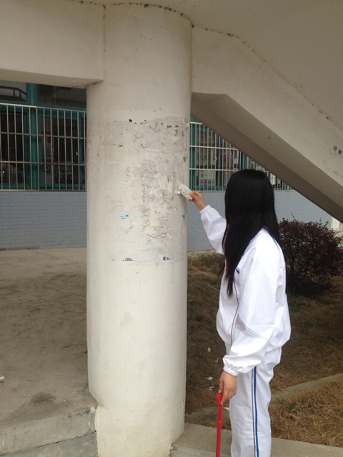 我系开展学雷锋系列活动——之清除校园小广告